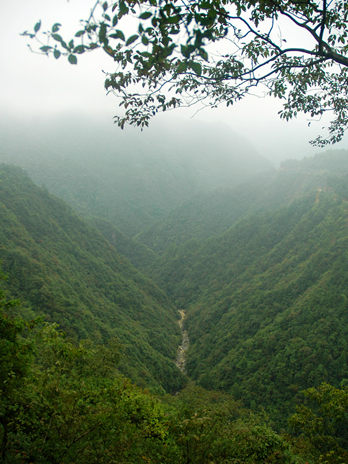 山谷溪流 山谷溪流
