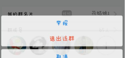 退出群 退出群