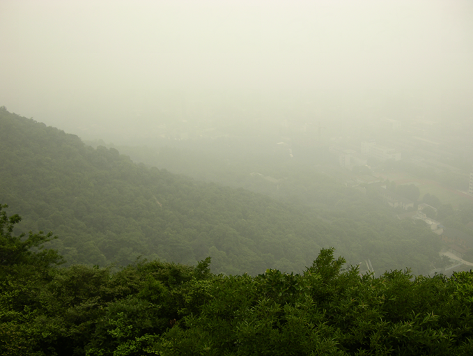 半山春游 半山春游