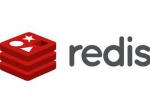 redis