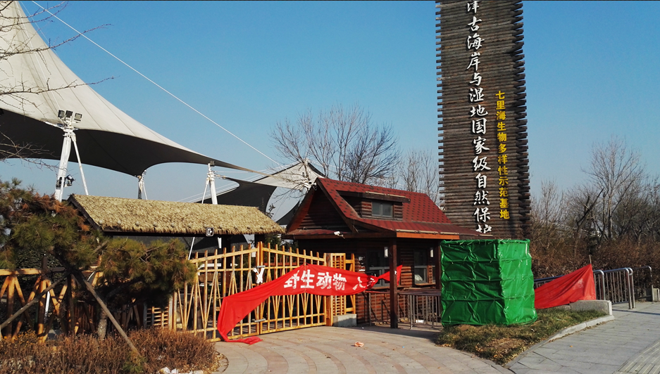 天津市七里海国家湿地公园 天津市七里海国家湿地公园